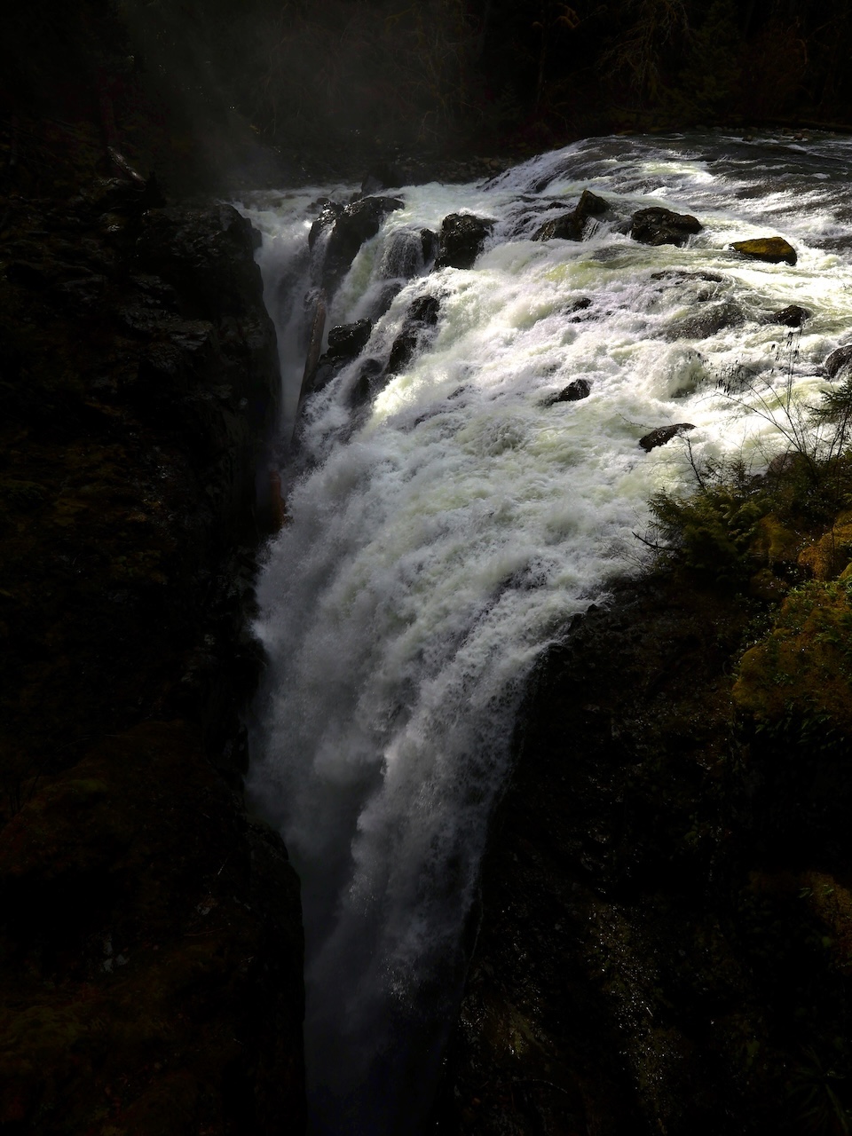 Little Qualicum Falls Provincial Park