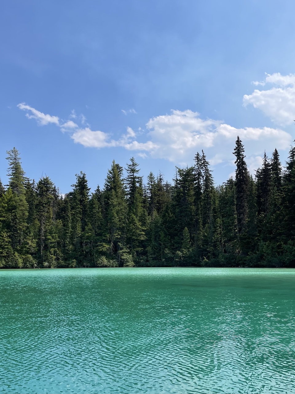 Johnson Lake