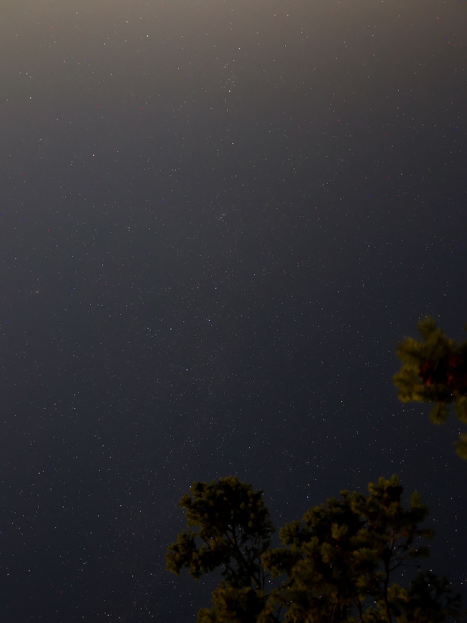 Seein' Stars II - Mayne Island